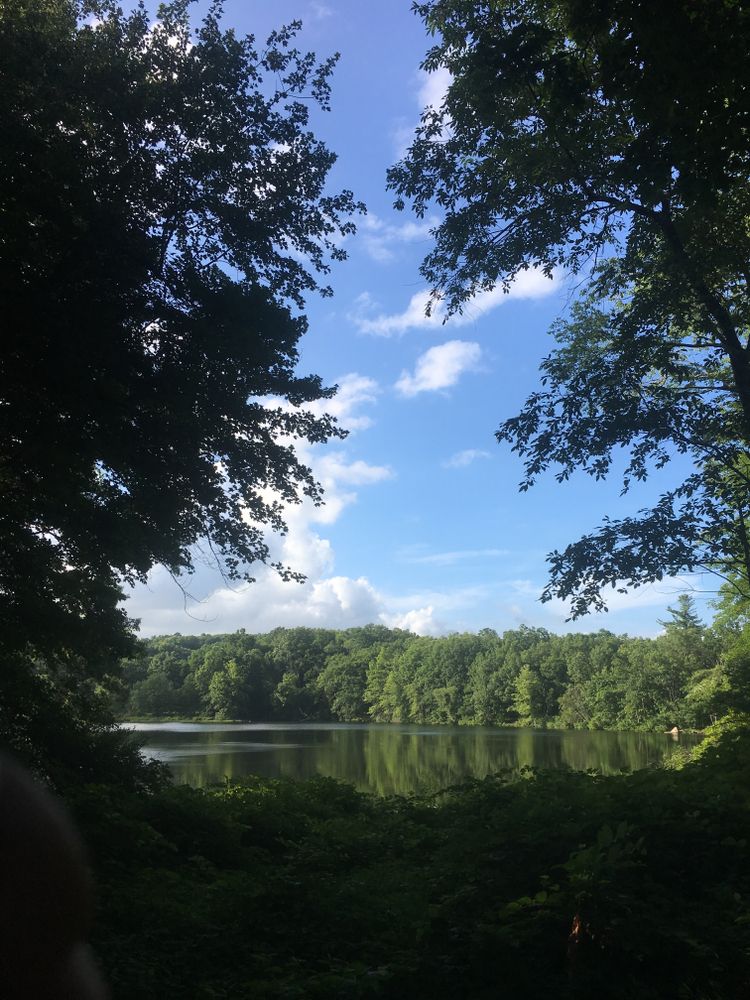 Lush greenery surrounding Lake Kenoza