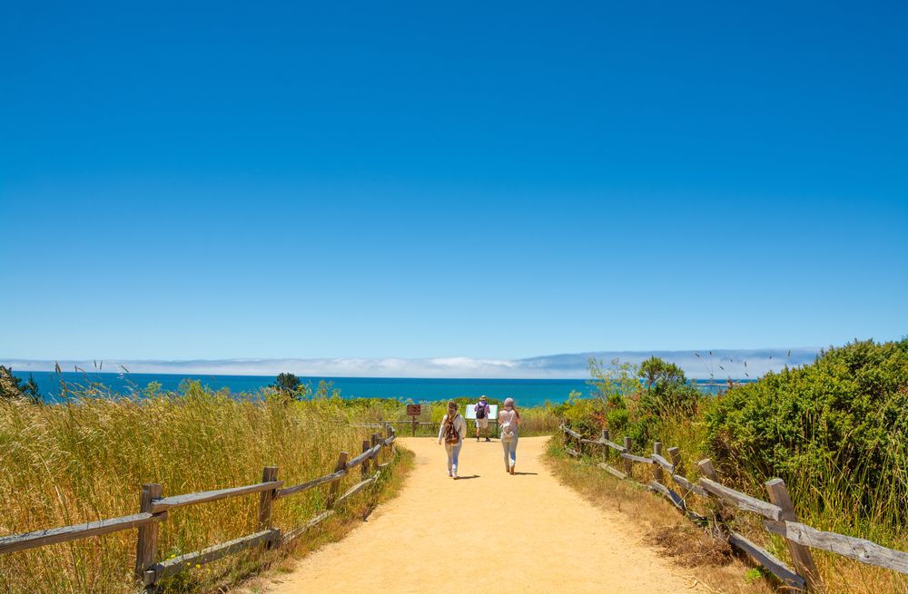 People walking towards Año Nuevo State Park