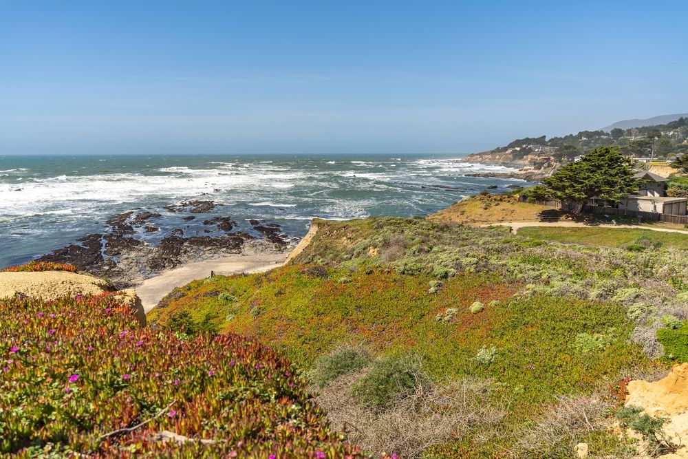 Daytime view of Fitzgerald Marine Reserve