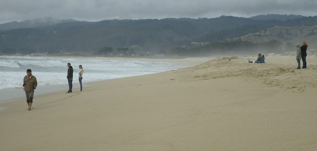 The sands of Francis Beach