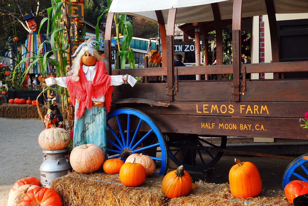 Pumpkin decorated Lemos Farm