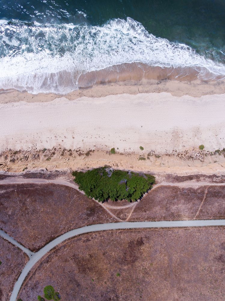 Aerial view of Poplar Beach