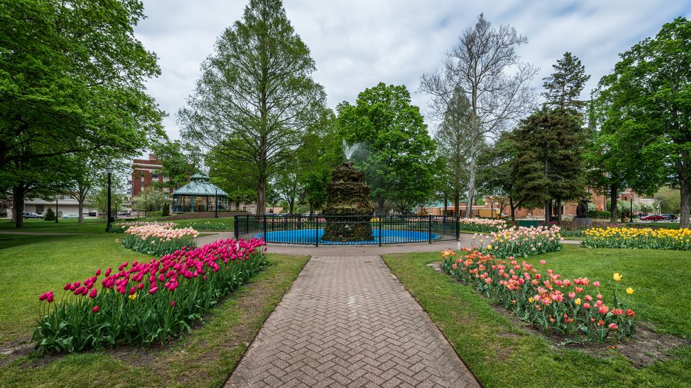 Trail at Centennial Park