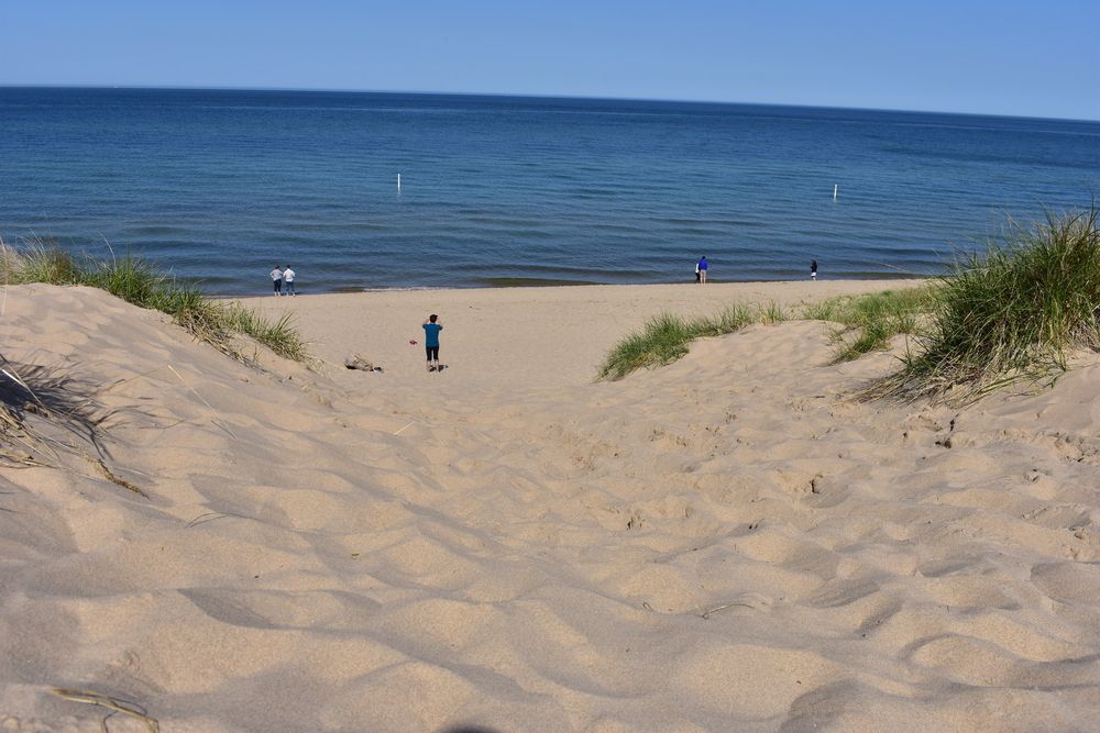 Sand dunes at Holland State Park