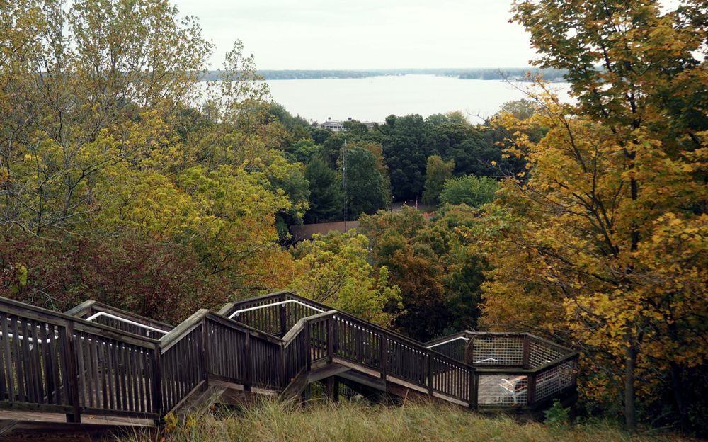 Steps at Mount Pisgah Dune Climb and Boardwalk