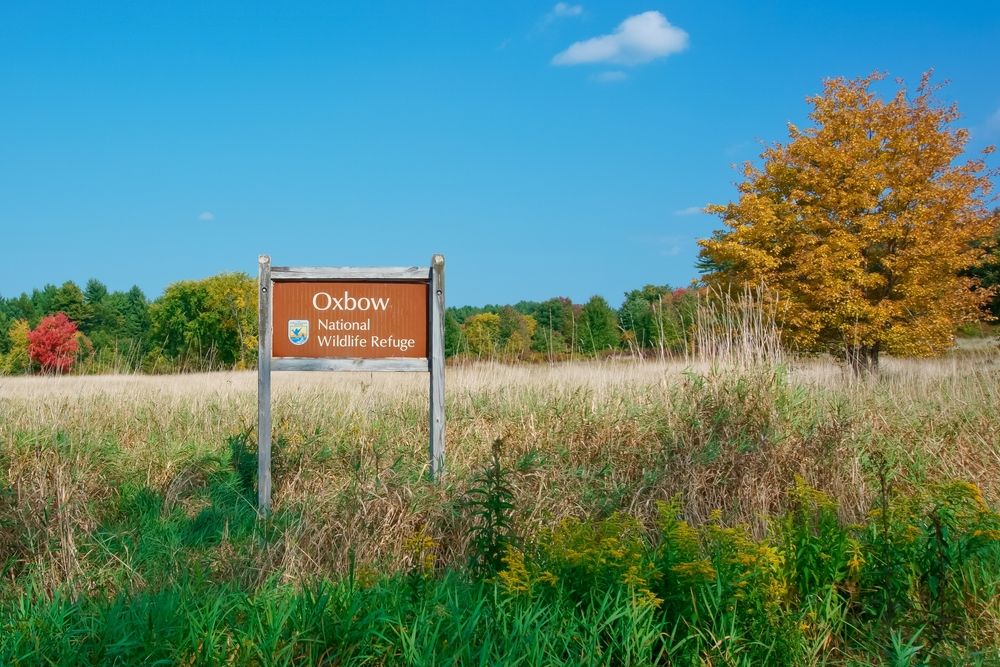 Daytime view of Oxbow National Wildlife Refuge