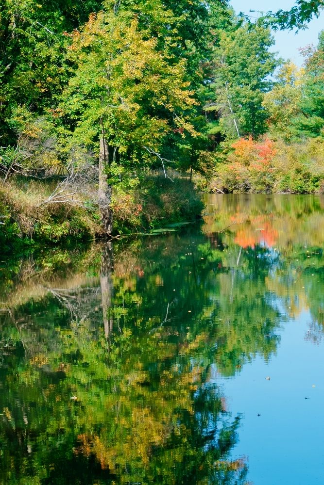 The waters of Oxbow National Wildlife Refuge