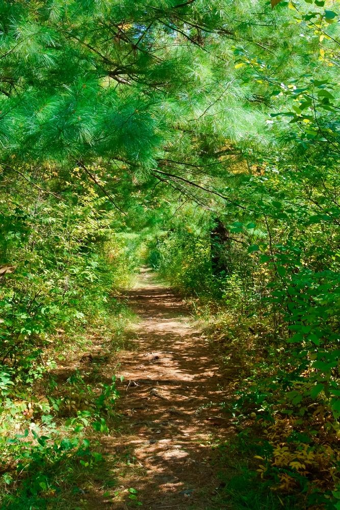 Trail at Oxbow National Wildlife Refuge