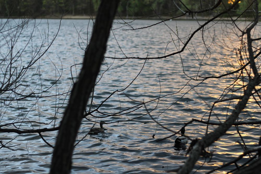 The waters of Hempstead Lake State Park