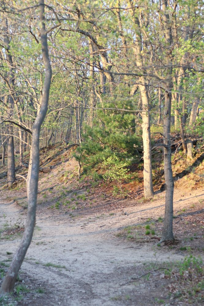 A trail at Hempstead Lake State Park
