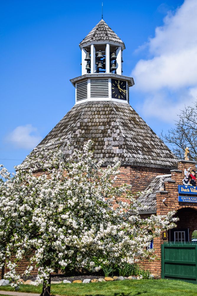 A tree and bell tower at Nelis’ Dutch Village