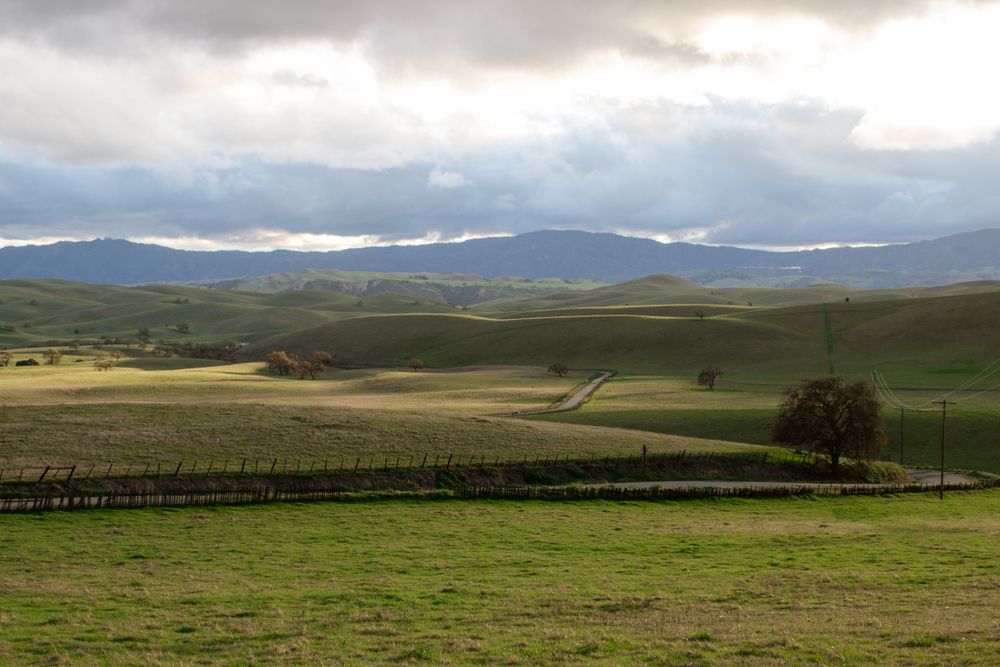 Scenic view of Panoche Hills