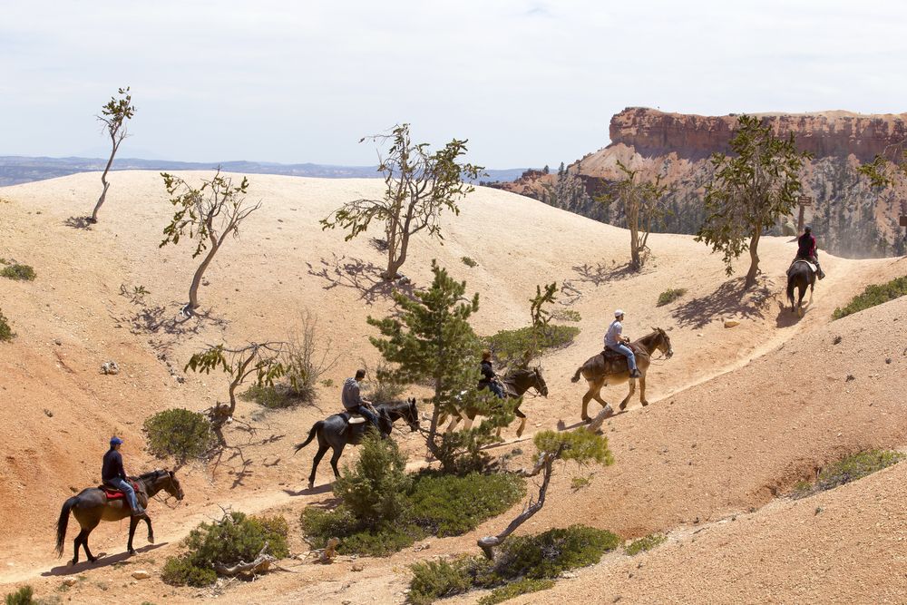 Horseback riding in Bryce Canyon