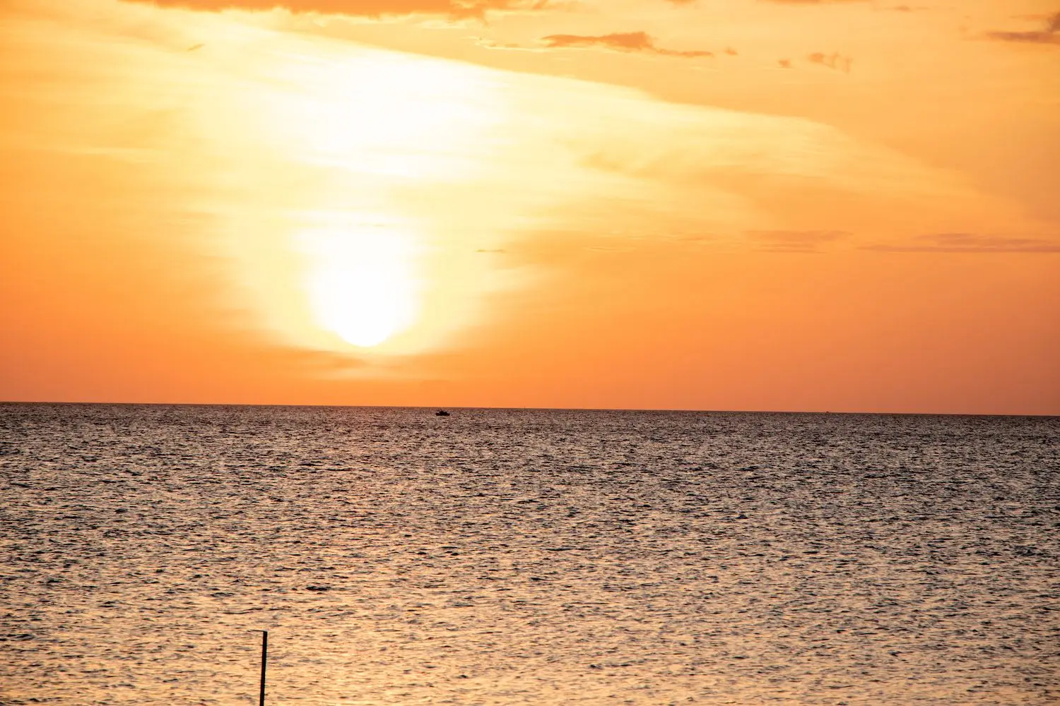 15 Best Things to Do in Horseshoe Beach, FL