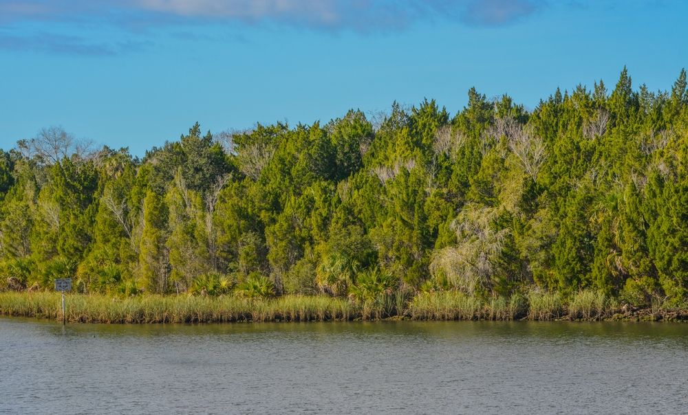 The waters of Crystal River Preserve State Park