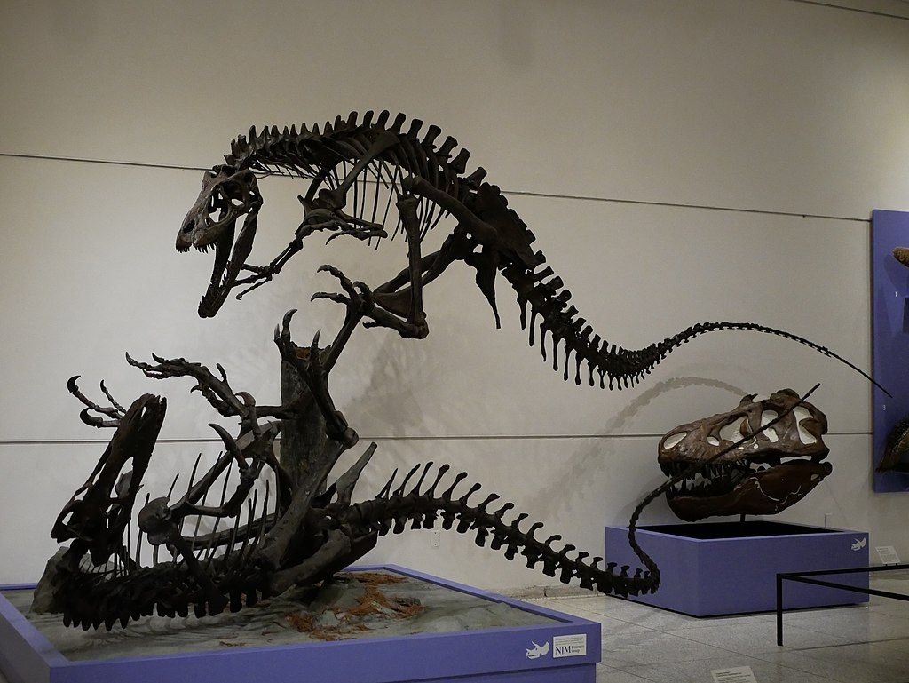 Dinosaur skeleton exhibit in the New Jersey State Museum