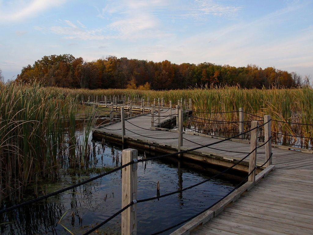 Boardwalk at Horicon Marsh State Wildlife Area