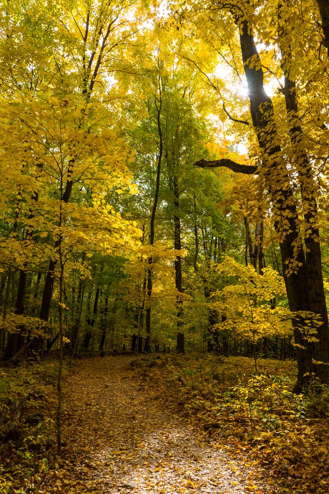 Nature trail at Pike Lake State Park