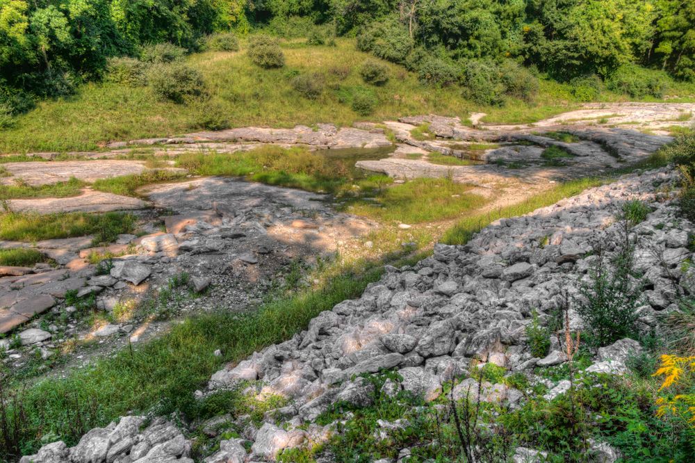 The grounds of Devonian Fossil Gorge