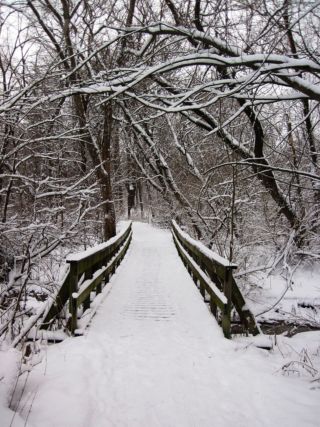 Winter scene at Hickory Hill Park