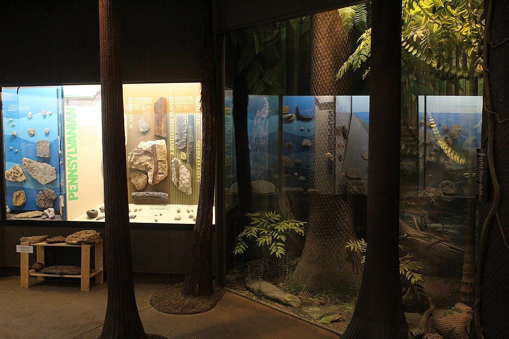 Diorama in the Museum of Natural History