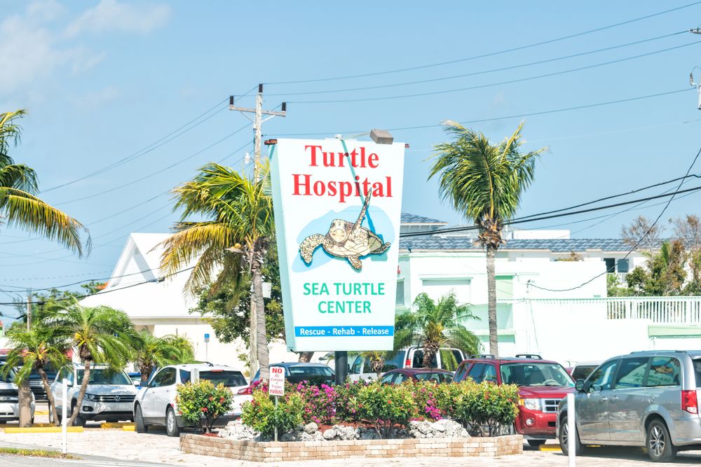 Exterior of Florida Keys Turtle Hospital