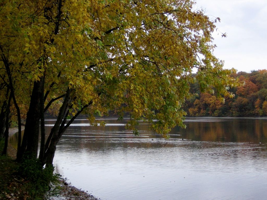 The waters of Donaldson Park