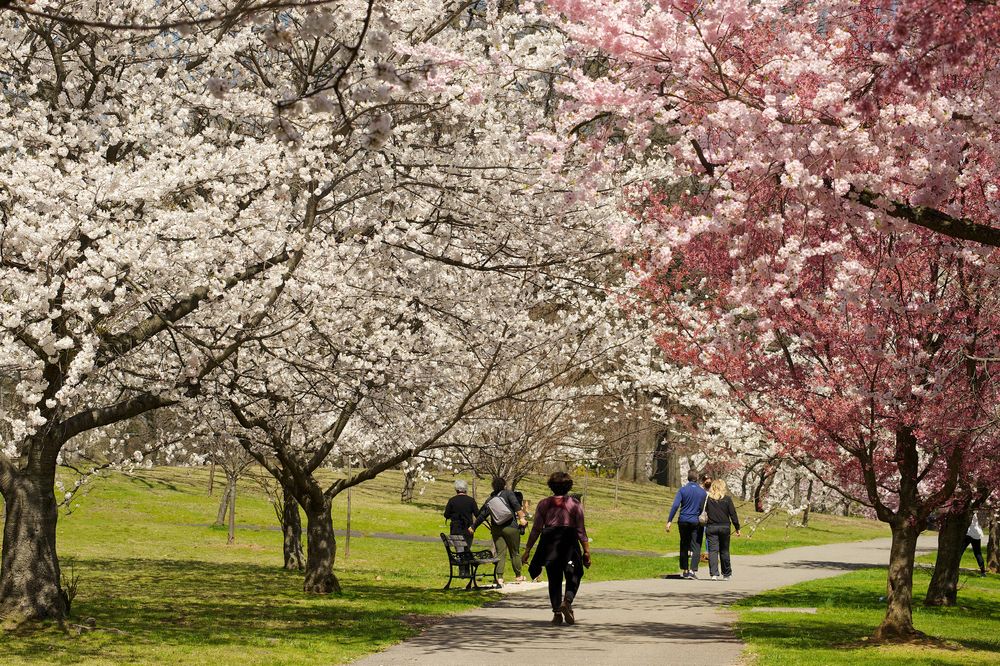 People at Branch Brook Park