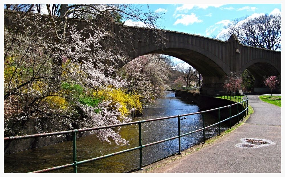 A bridge at Branch Brook Park