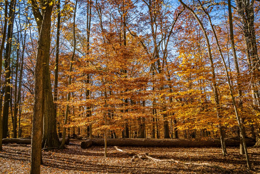 The grounds of South Mountain Reservation