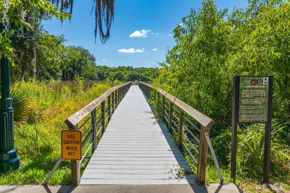 A wooden footbridge at Cooter Pond Park