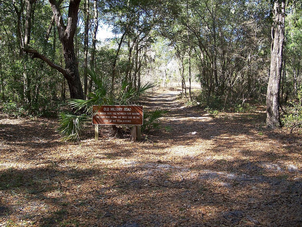 Old military road at Fort Cooper State Park.