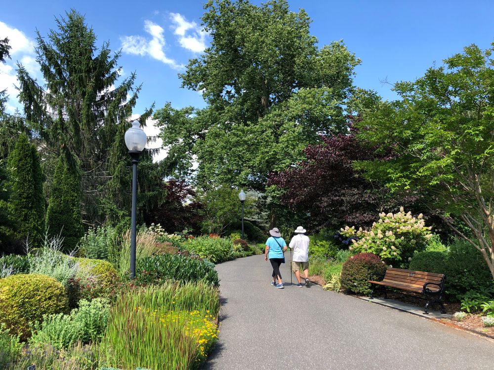 Trail lined with plants at Bayard Cutting Arboretum State Park
