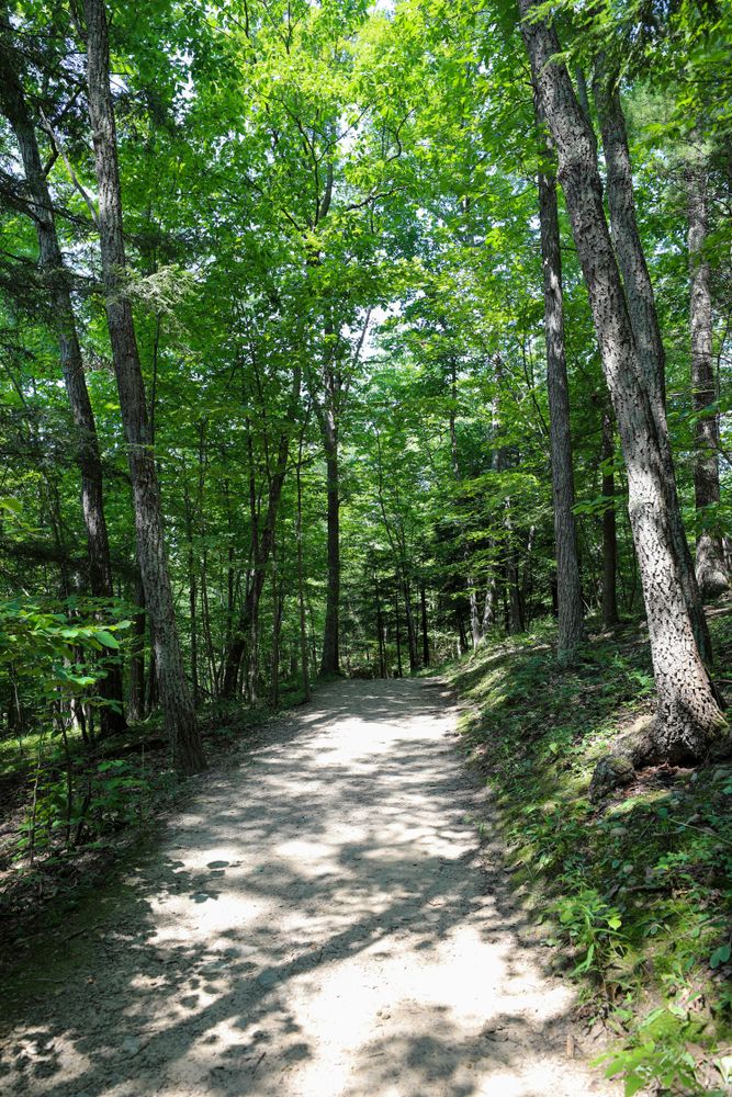 Trail at Buttermilk Falls State Park