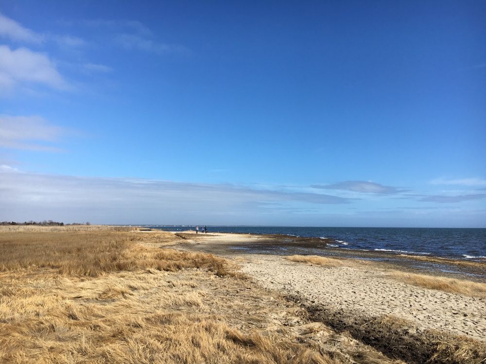 View of the bay from Gardiner County Park