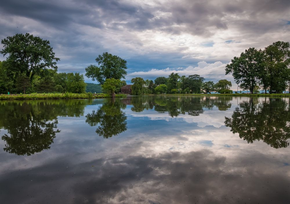 The sky and trees reflecting on Stewart Park's water