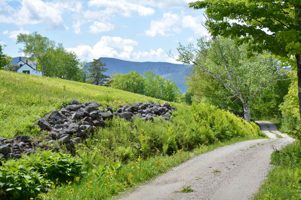 Trail at Iron Mountain Trail.