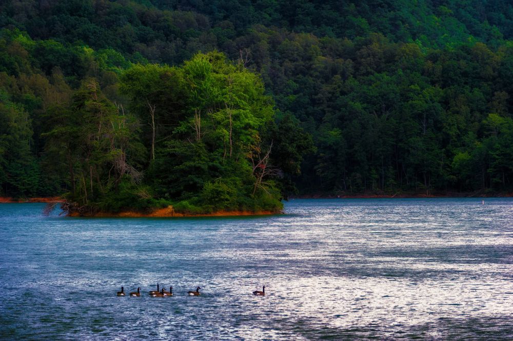 The waters of Boone Lake