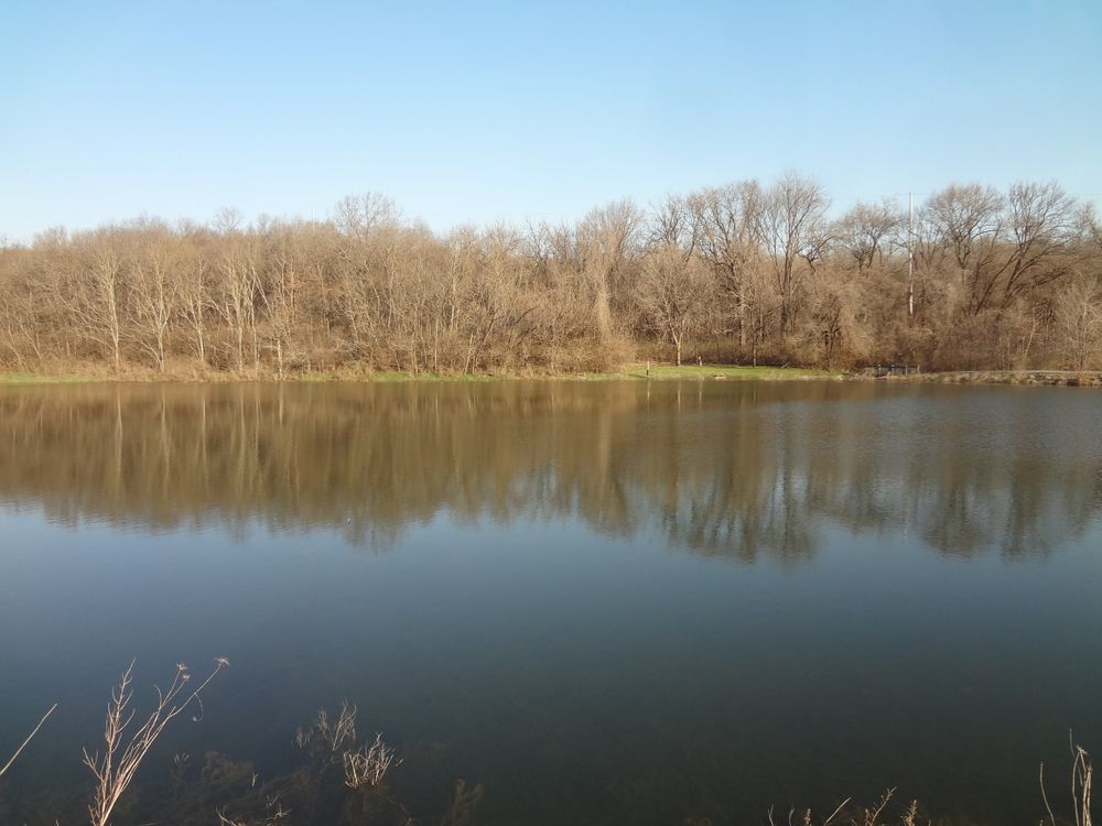 The waters of George Owens Nature Park