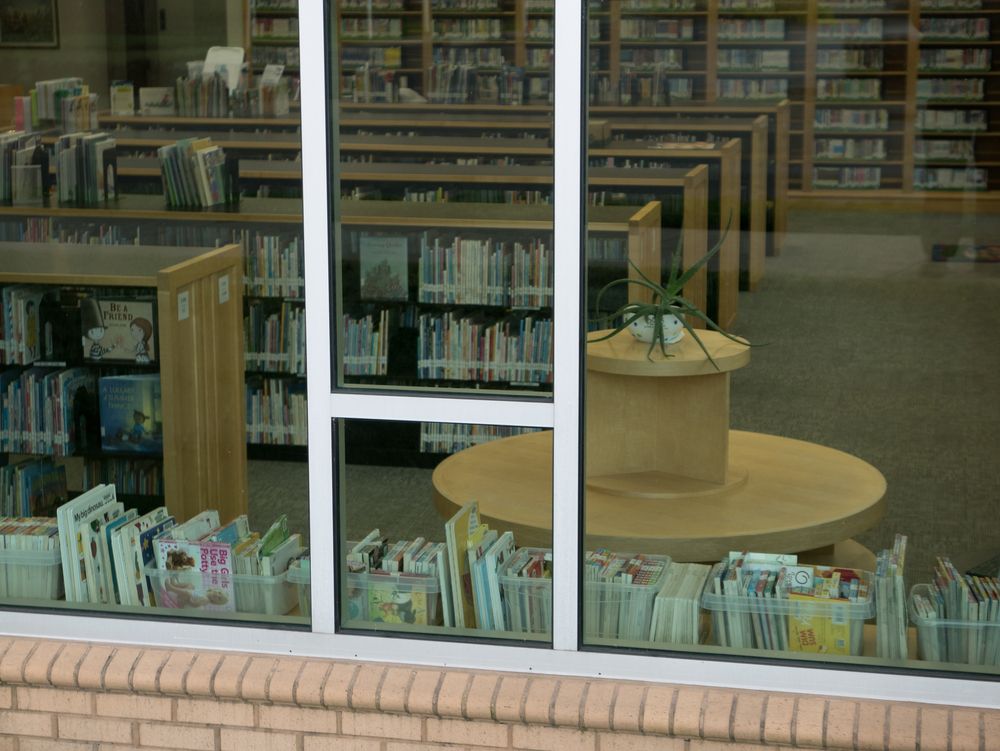 Looking in Johnson City Public Library's window