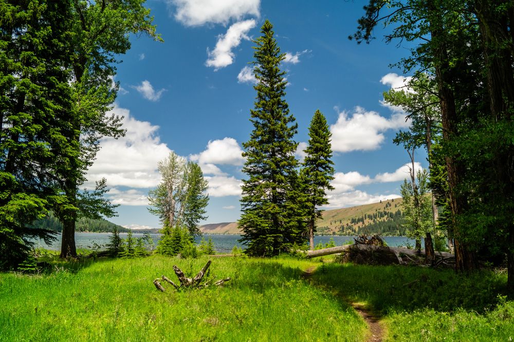 Landscape of Wallowa Lake State Park