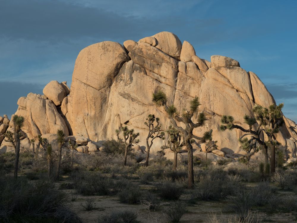 Scenic view at Hidden Valley Nature Trail