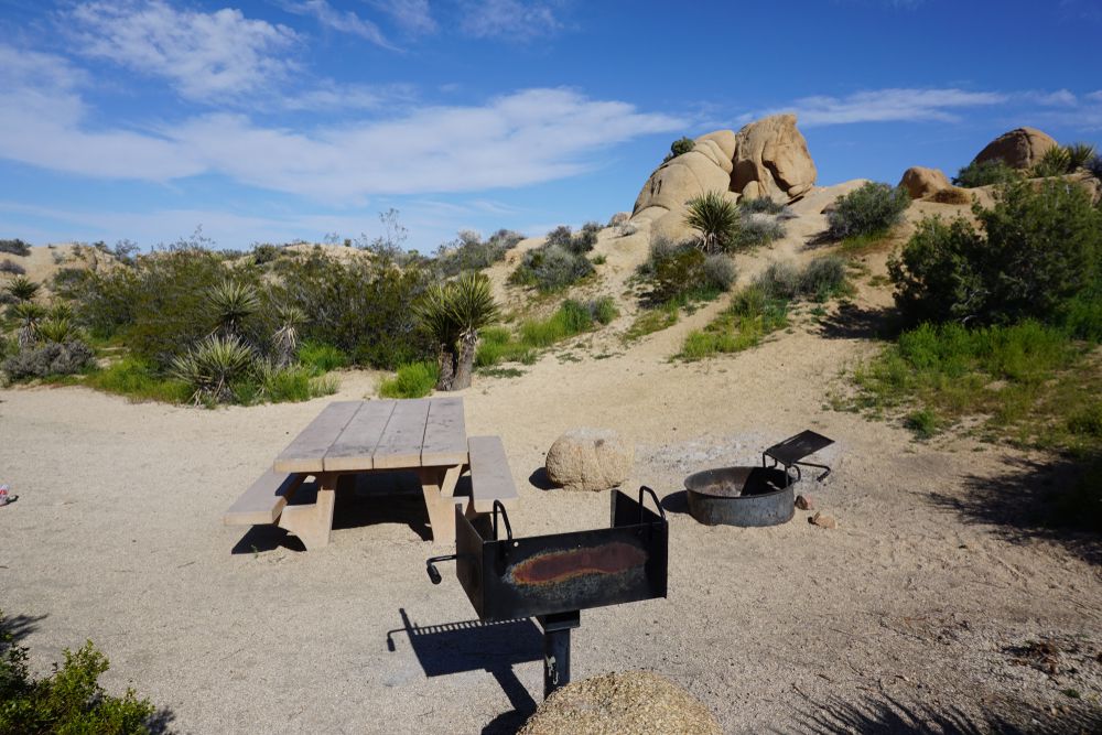 A picnic table and a grill ready to use at Jumbo Rocks Campground