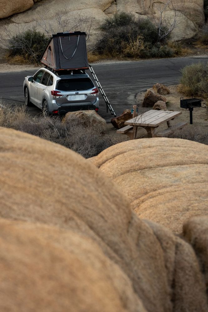 A car with a tent on its roof at Jumbo Rocks Campground