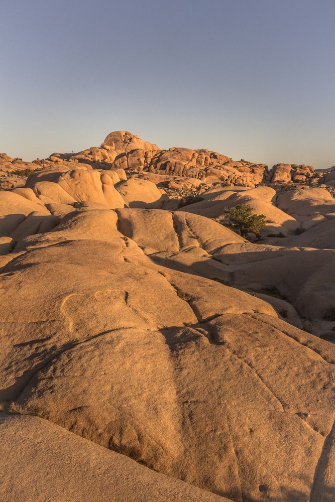 Rocky landscape of Jumbo Rocks Campground