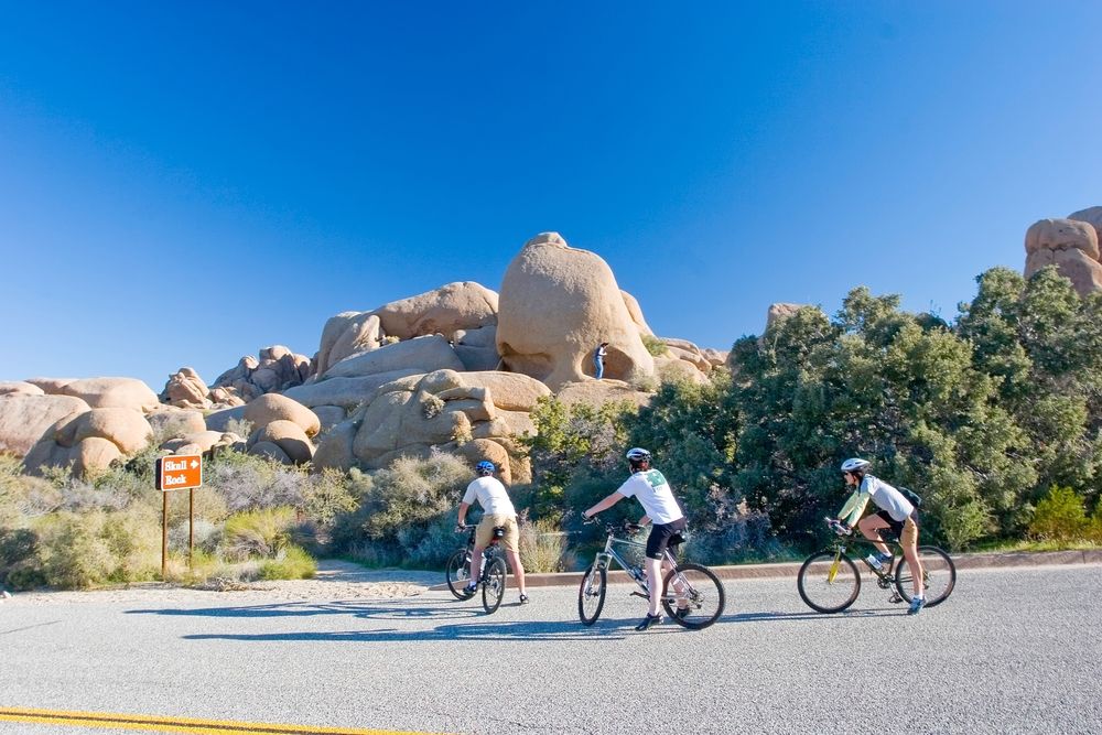 Three people riding bikes toward Skull Rock