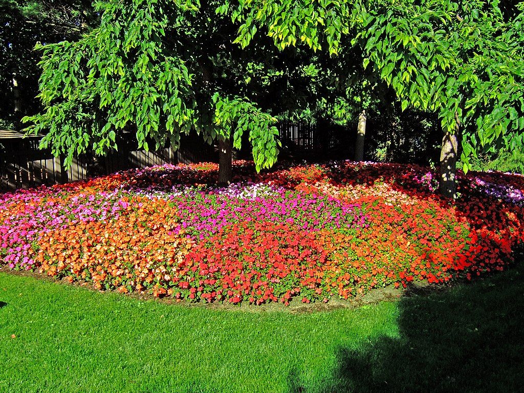 Bright flowers at Rotary Botanical Gardens