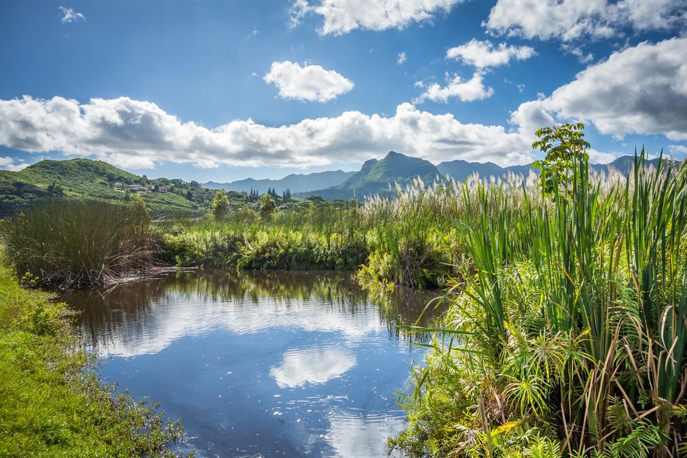 The sky and clouds reflecting on Kawai Nui Marsh