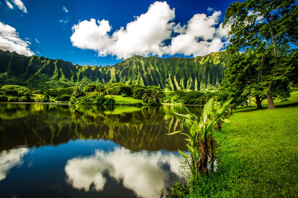 Scenic view of Ho’omaluhia Botanical Garden