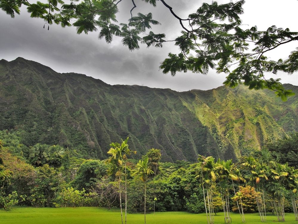 Gorgeous views at Ho’omaluhia Botanical Garden